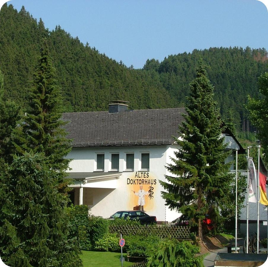 Altes Doktorhaus - Hotel Garni Willingen  Zewnętrze zdjęcie