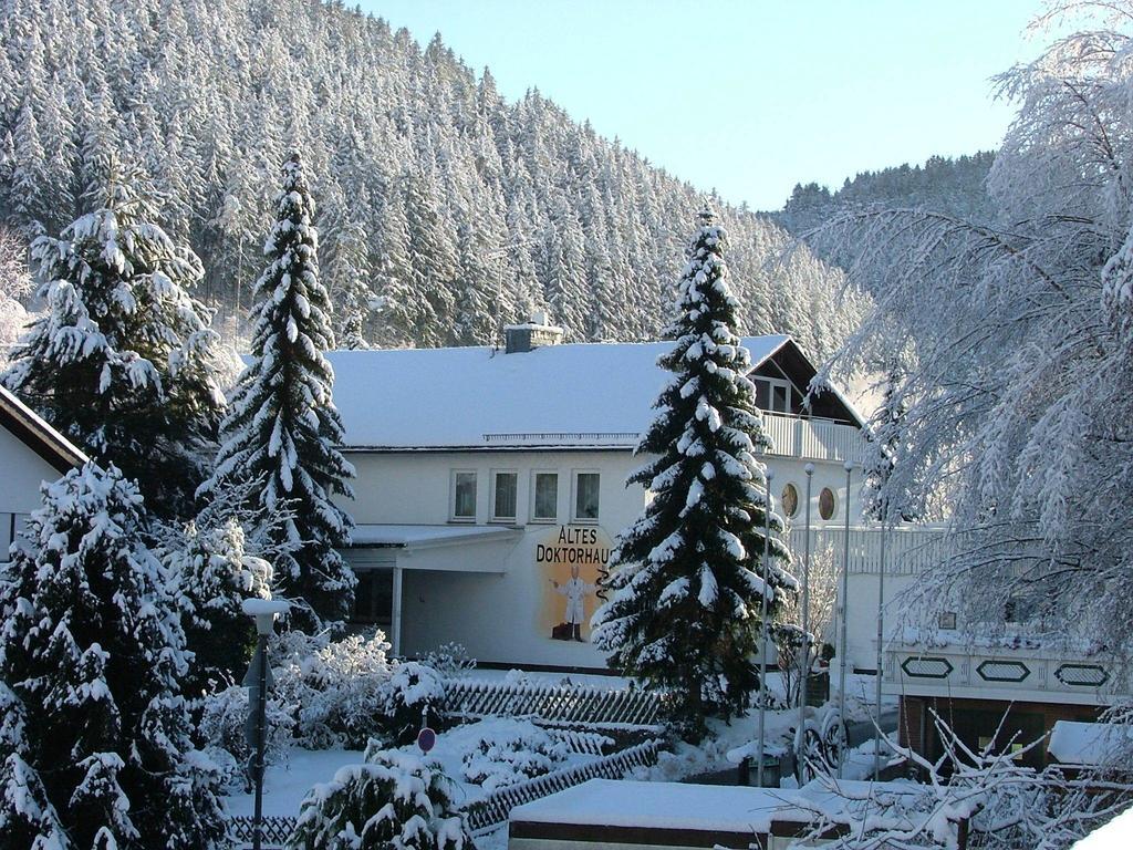Altes Doktorhaus - Hotel Garni Willingen  Zewnętrze zdjęcie
